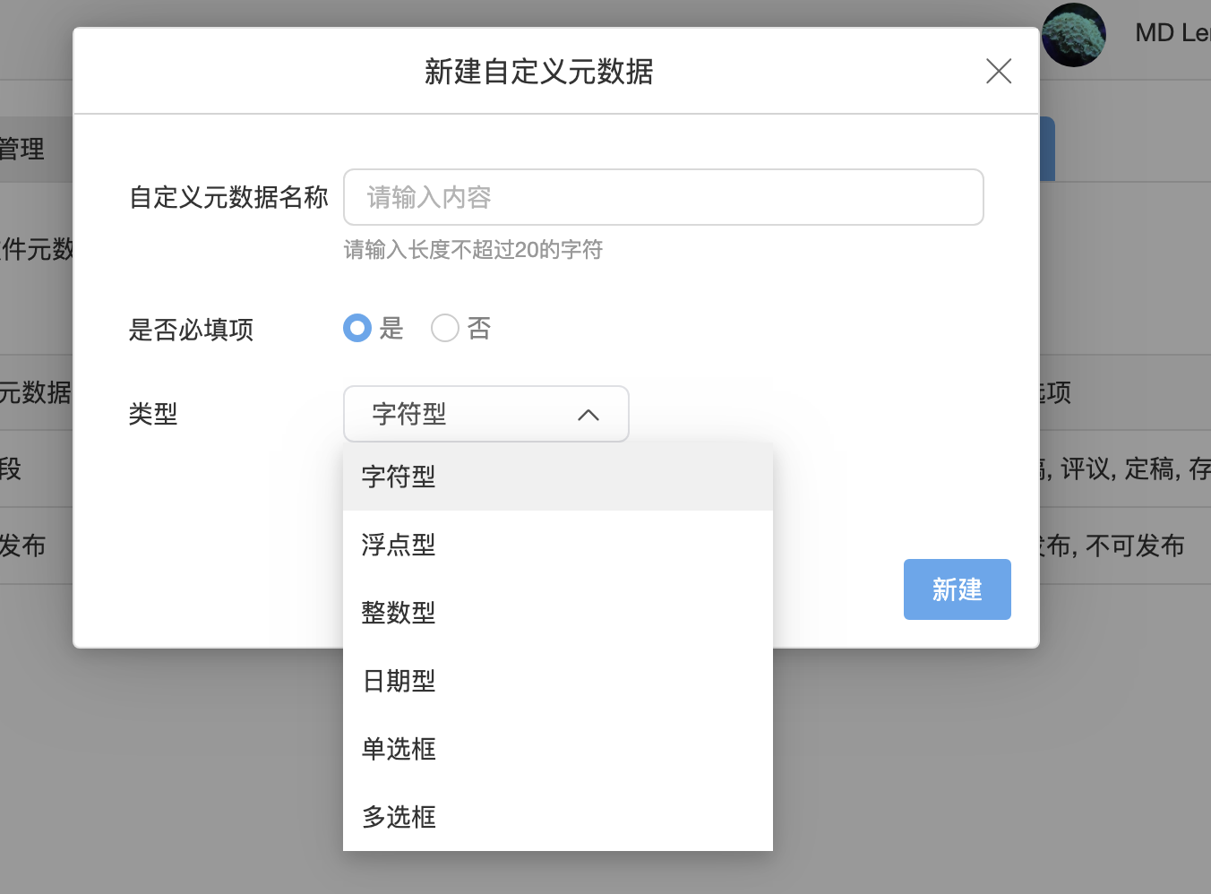 自定义元数据可选数据类型